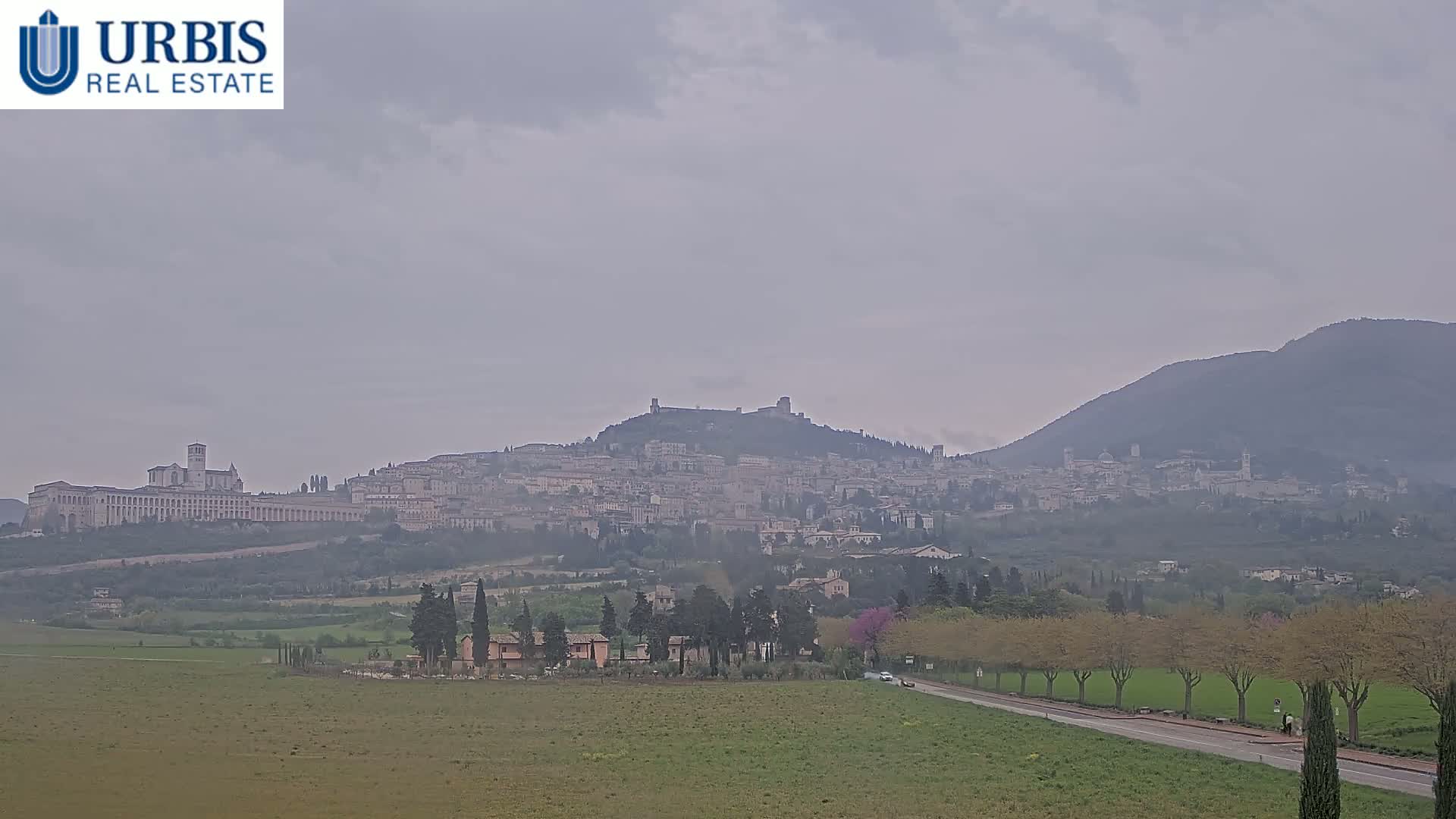 A hazy view of a hilltop town, possibly Assisi, with a large basilica, stretches across the horizon under an overcast sky.