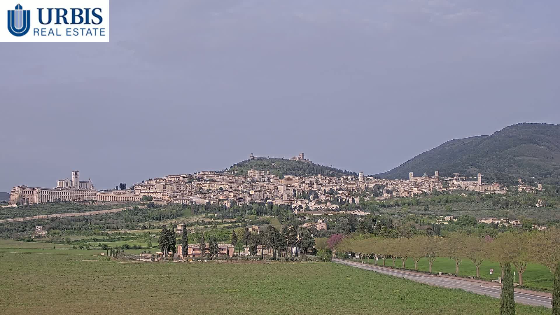 A large hilltop town, possibly Assisi, is visible under a hazy, overcast sky, situated amongst green fields and hills.