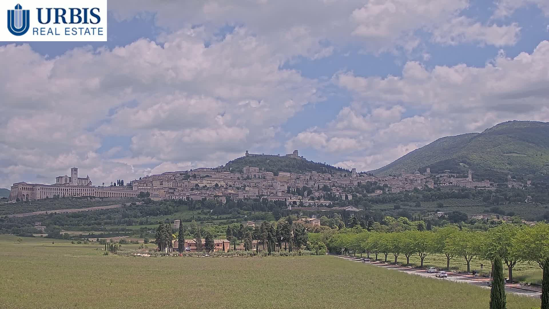 A hilltop town, possibly Assisi, is visible under a partly cloudy sky, with a flat green field in the foreground and a road lined with trees.