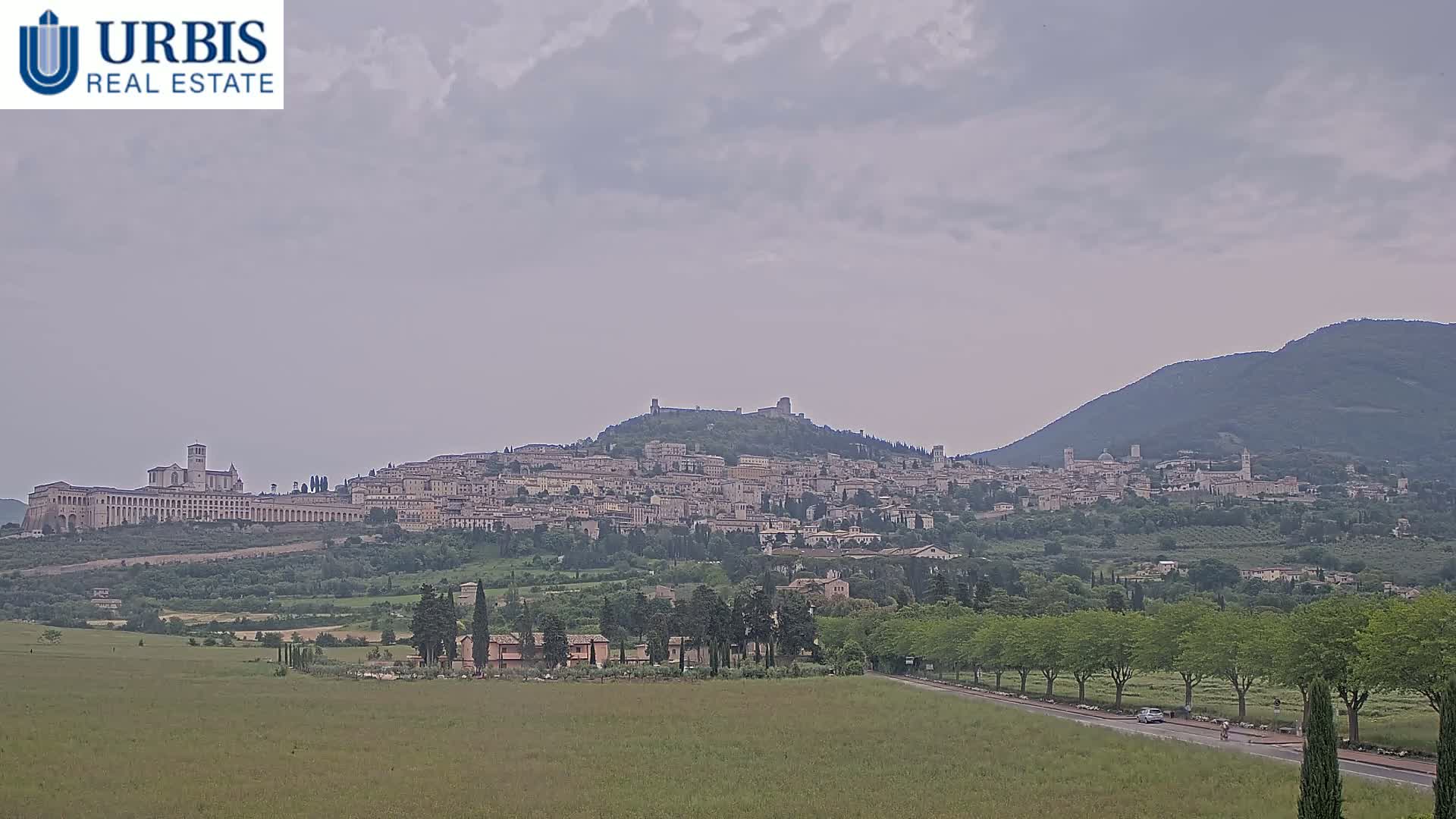 A hilltop town with many buildings is visible in the distance under an overcast sky, viewed from a grassy field with trees and a road in the foreground.
