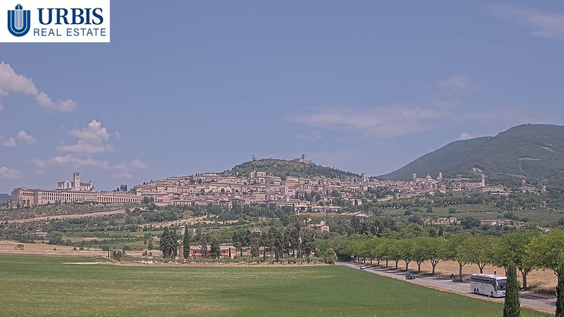 A large hilltop town, under a mostly clear sky, is viewed from a distance across a green field and a road lined with trees, with a bus traveling on the road.
