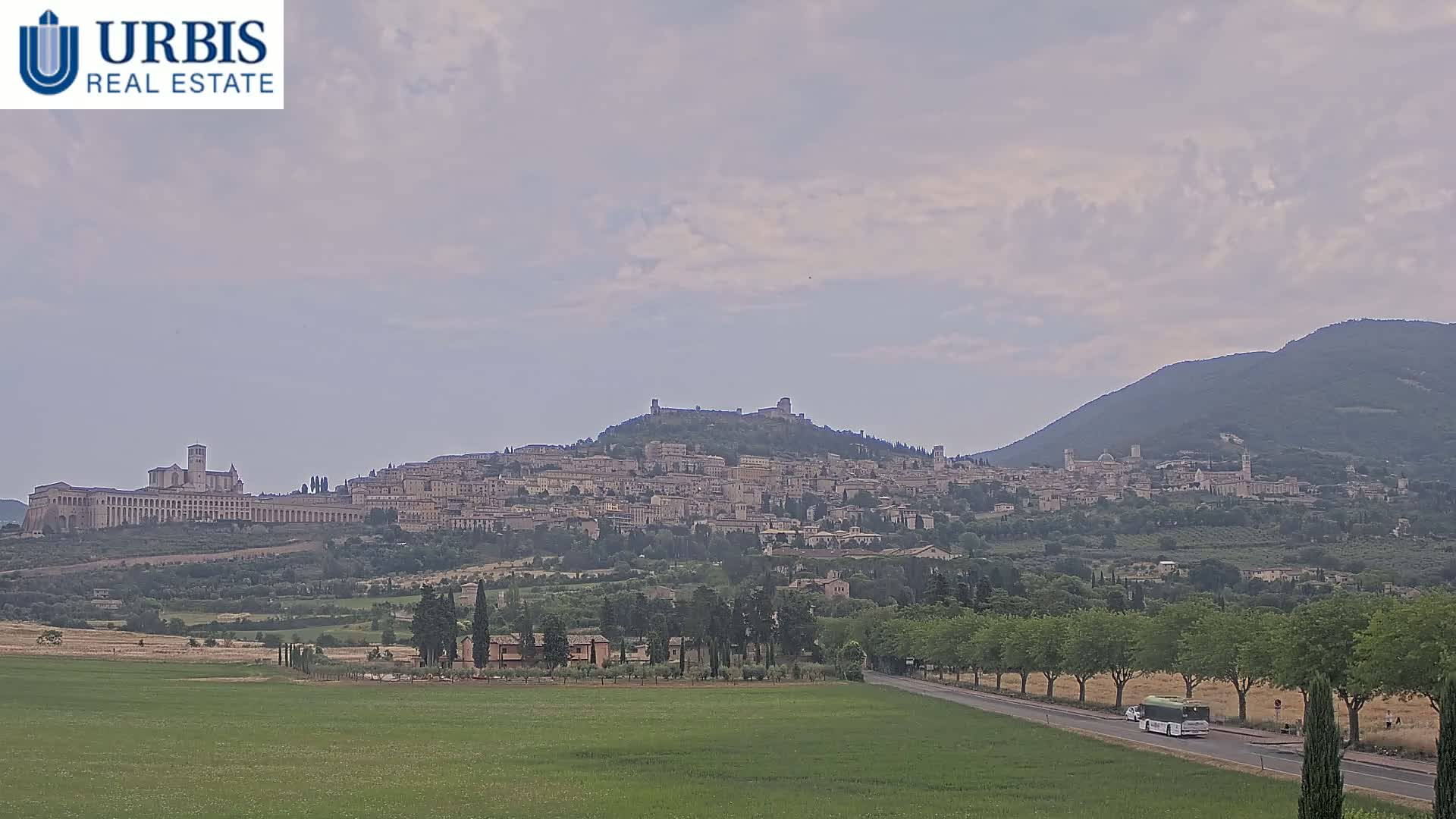 A sprawling hilltop town, under a cloudy sky, is visible from a distance across a verdant field and a tree-lined road.