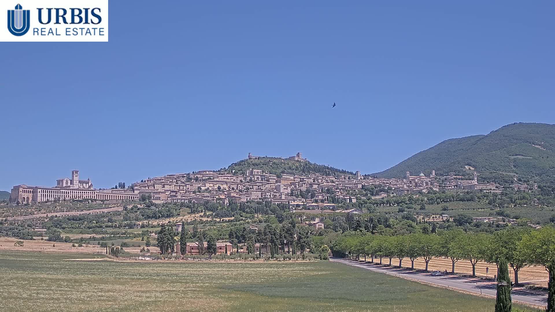 Assisi City Live Cam - Perugia, Umbria, Italy