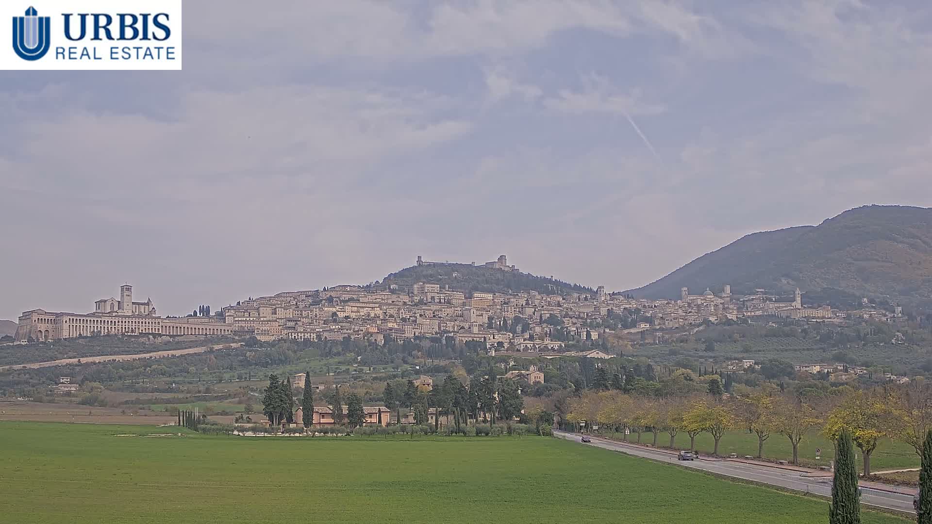 A panoramic view showcases the historic hilltop town of Assisi with its prominent basilica and fortress, situated between verdant fields and a road in the foreground and a tree-covered mountain to the right, all under a mostly cloudy sky.
