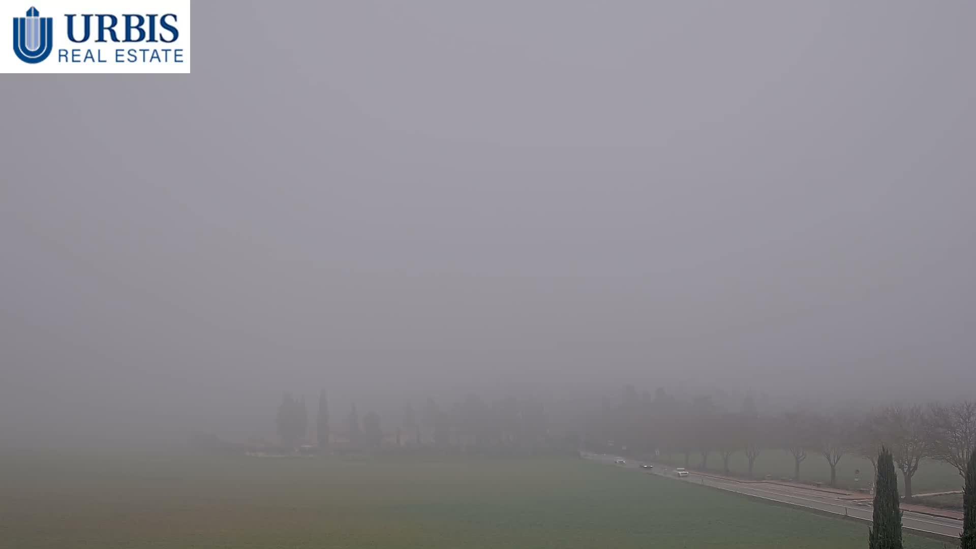 An outdoor landscape is shrouded in dense fog, with a green field in the foreground, a road with faintly visible vehicles and bare trees, all extending into the misty distance under a uniform grey sky.