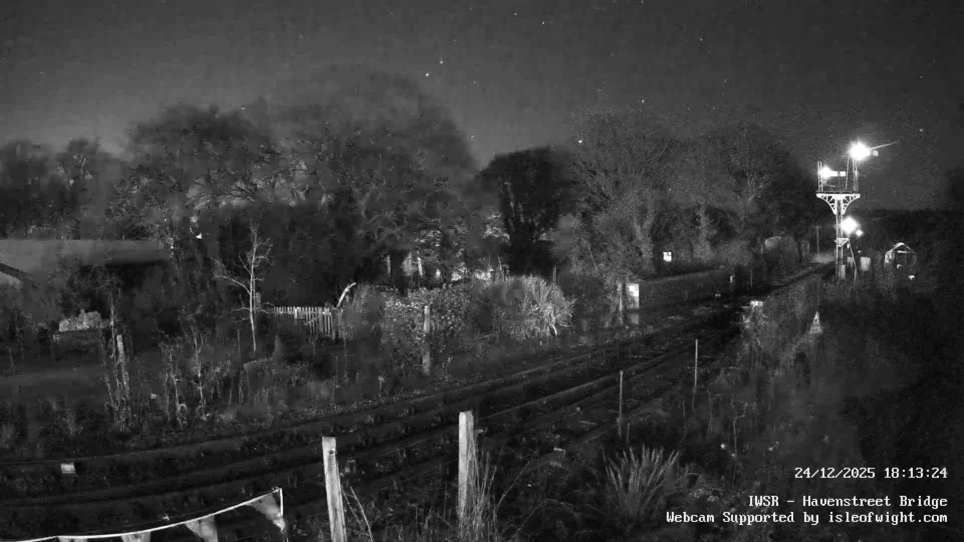 A network of railway tracks winds through a wintery landscape of mostly bare deciduous trees and various shrubs under an overcast sky, with a tall railway signal visible in the distance.