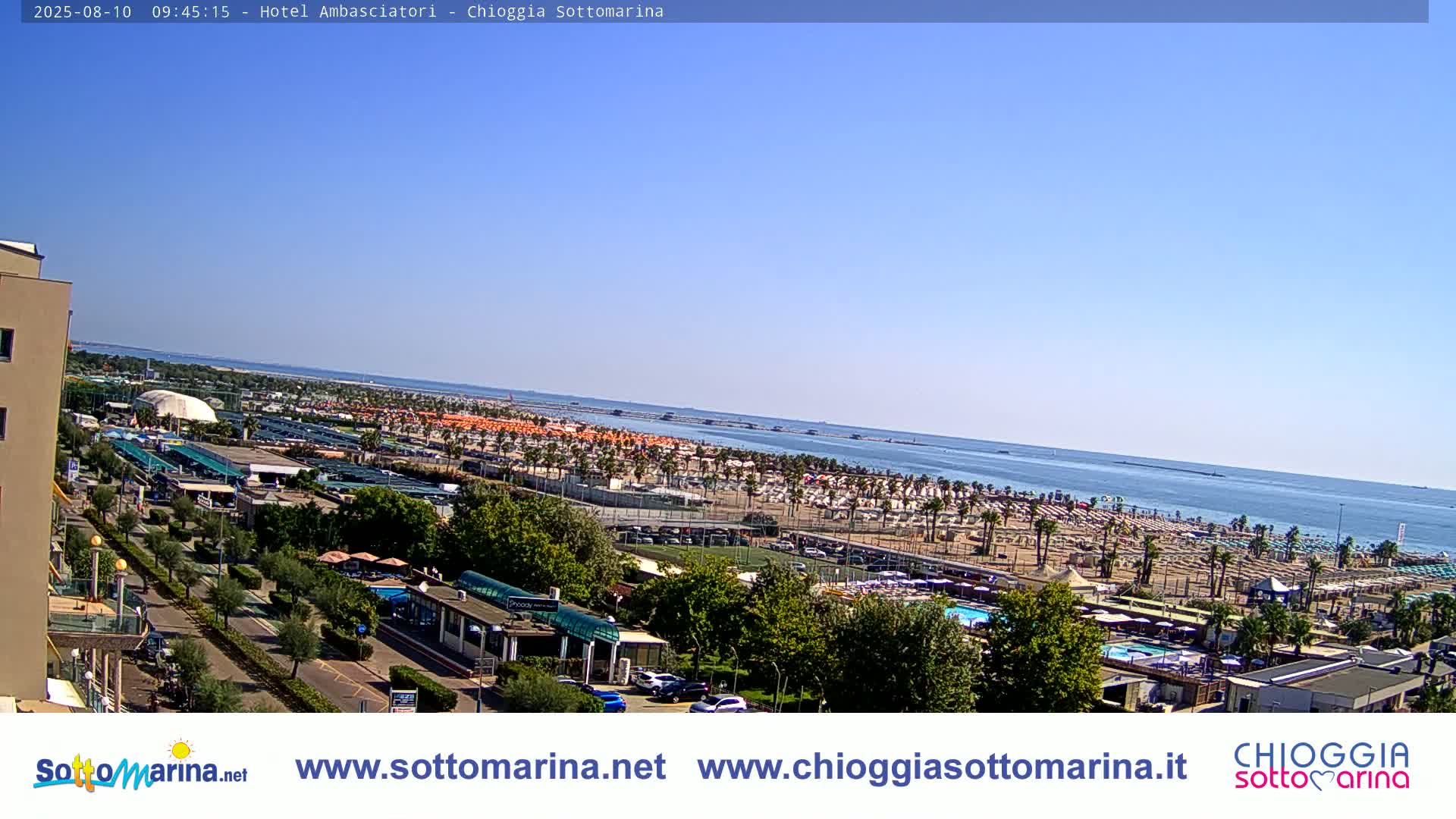 A beach with numerous umbrellas and palm trees stretches along a calm, blue sea under a clear, sunny sky.