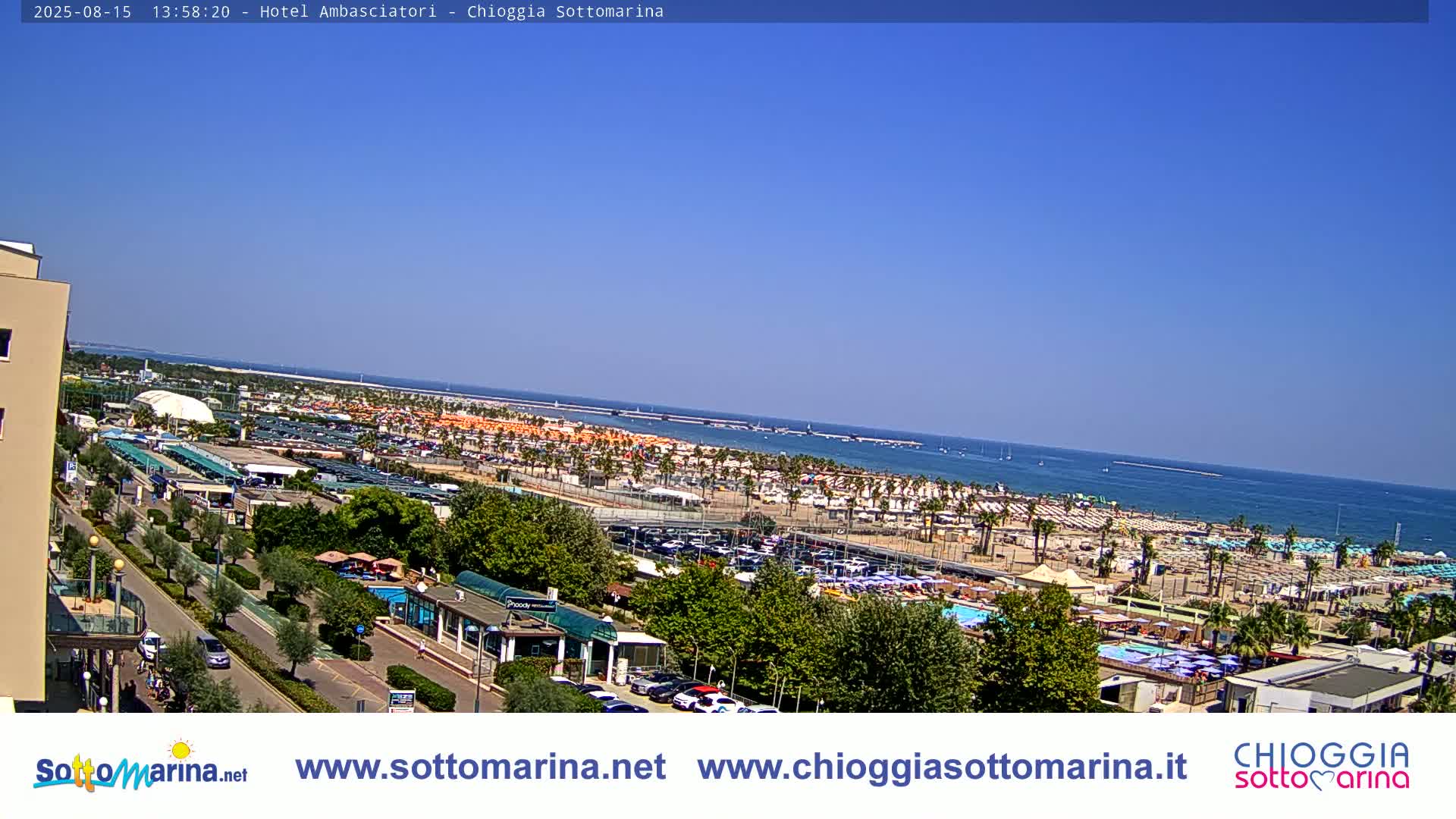 A high-angle, long shot of a beach with numerous umbrellas and palm trees on a sunny day, overlooking a calm sea.