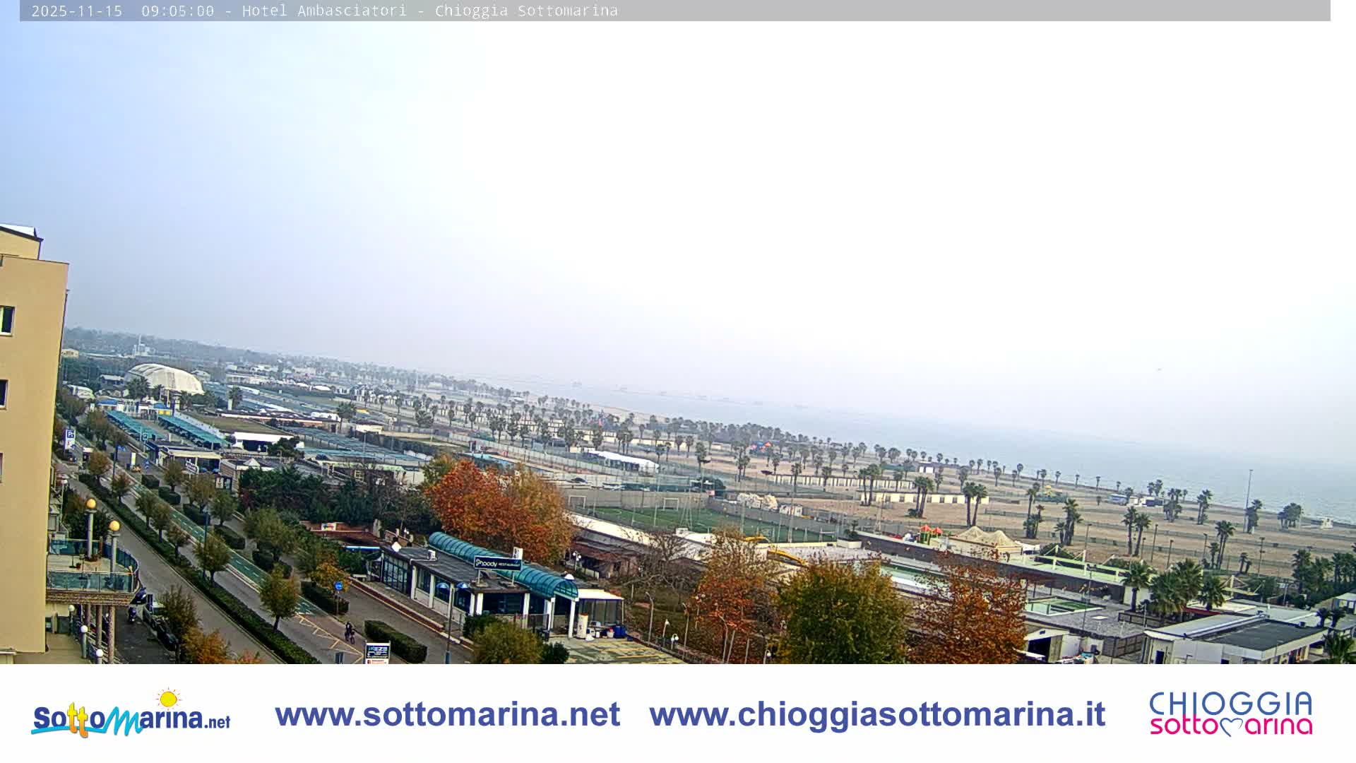 A hazy and overcast day reveals a panoramic view of a coastal town featuring a long sandy beach lined with numerous palm trees, various buildings, and roads with autumnal foliage in the foreground, all blending into a muted sea and sky.