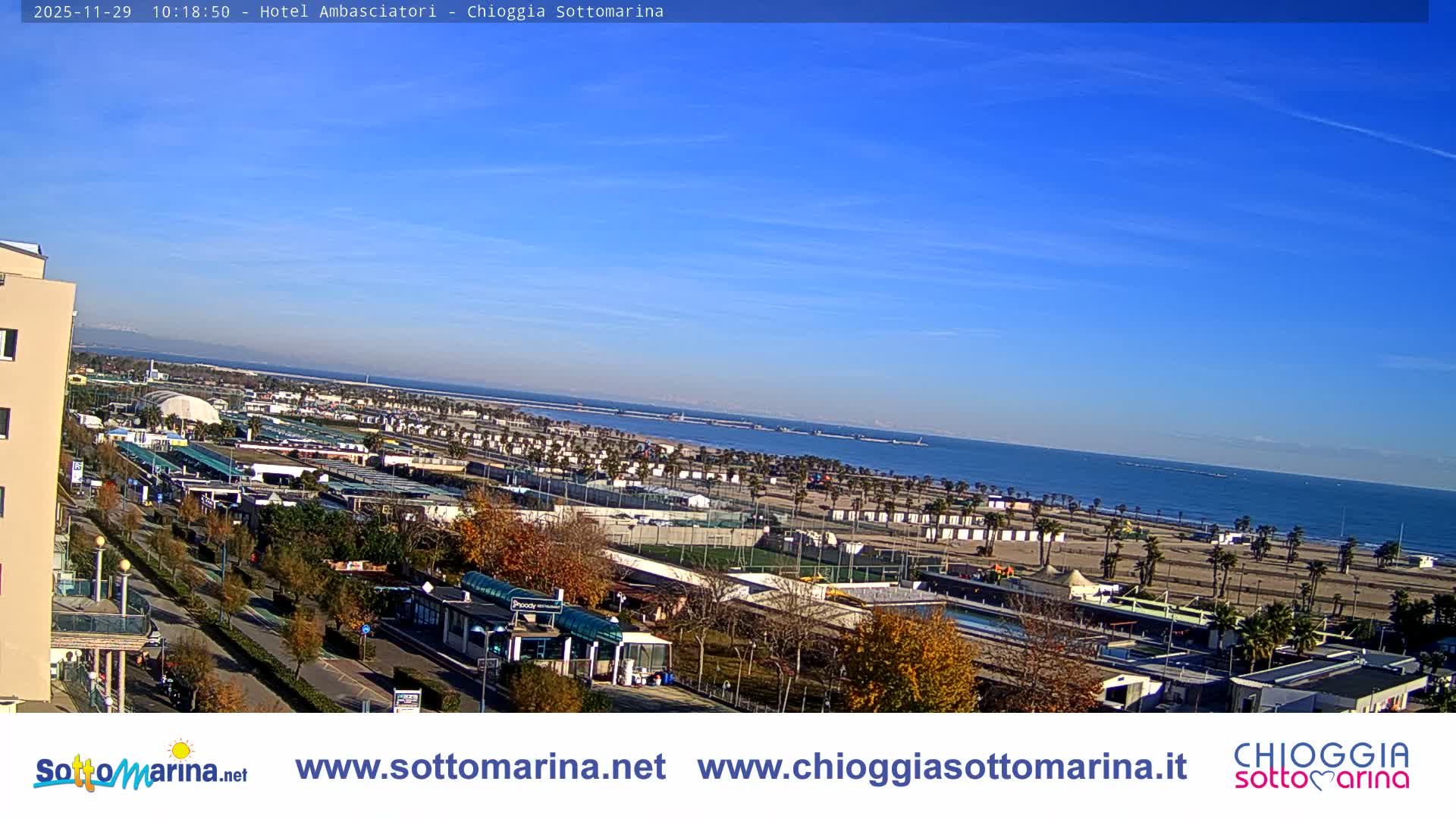 An elevated panoramic view of a sunny coastal town reveals a long sandy beach dotted with numerous palm trees and beach structures beside a calm blue sea featuring distant breakwaters, all beneath a clear blue sky, with inland roads, buildings, and trees displaying autumn foliage.