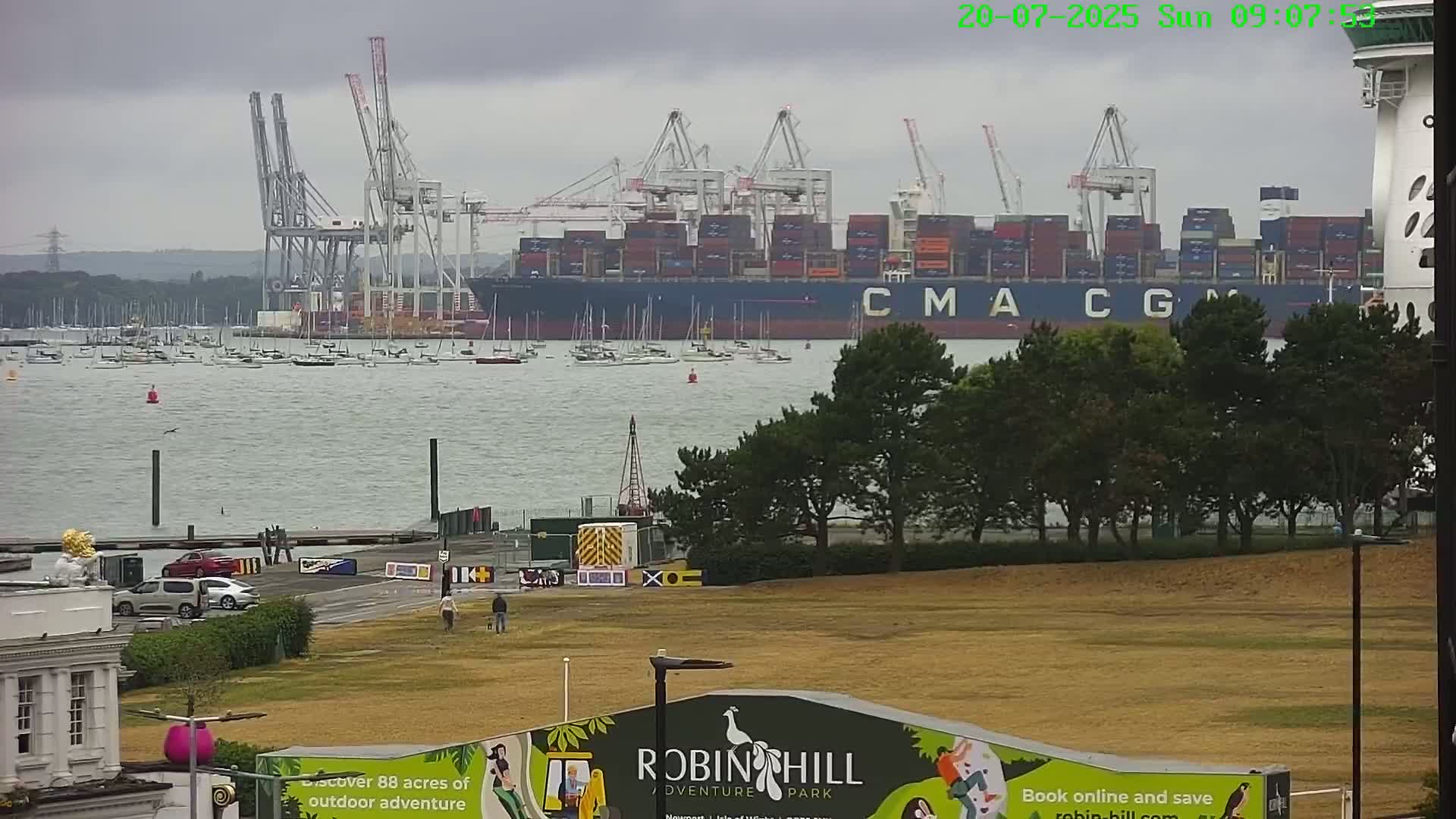 A large container ship sits in a harbor under an overcast sky, with numerous smaller boats in the water and a grassy park in the foreground.