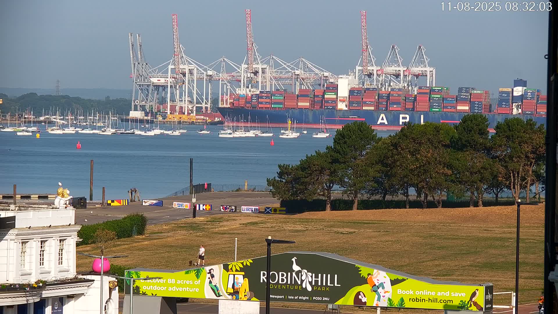 A large container ship is docked at a port under a clear, sunny sky, with numerous smaller boats in the water and a grassy park in the foreground.
