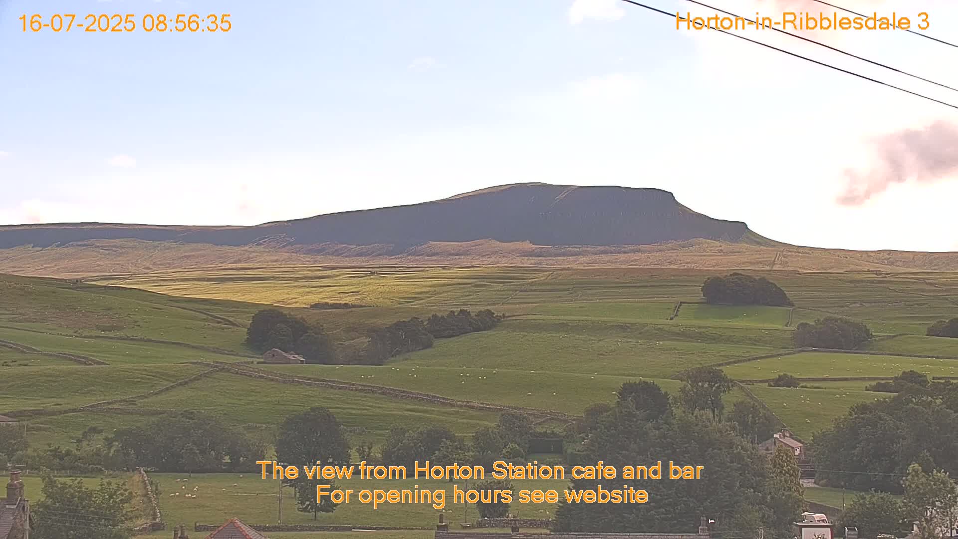 A large, dark hill rises in the distance above a gently rolling, green pasture dotted with sheep under a mostly clear sky.