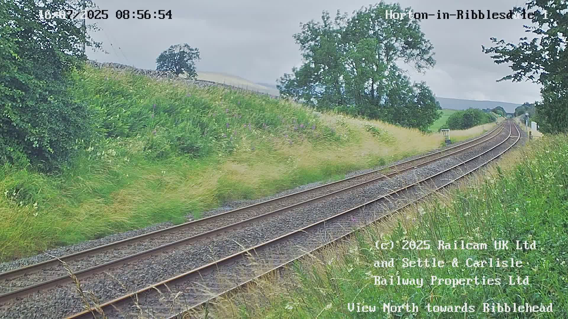 A view of a train track curving gently to the right, bordered by tall grass and shrubs under an overcast sky.