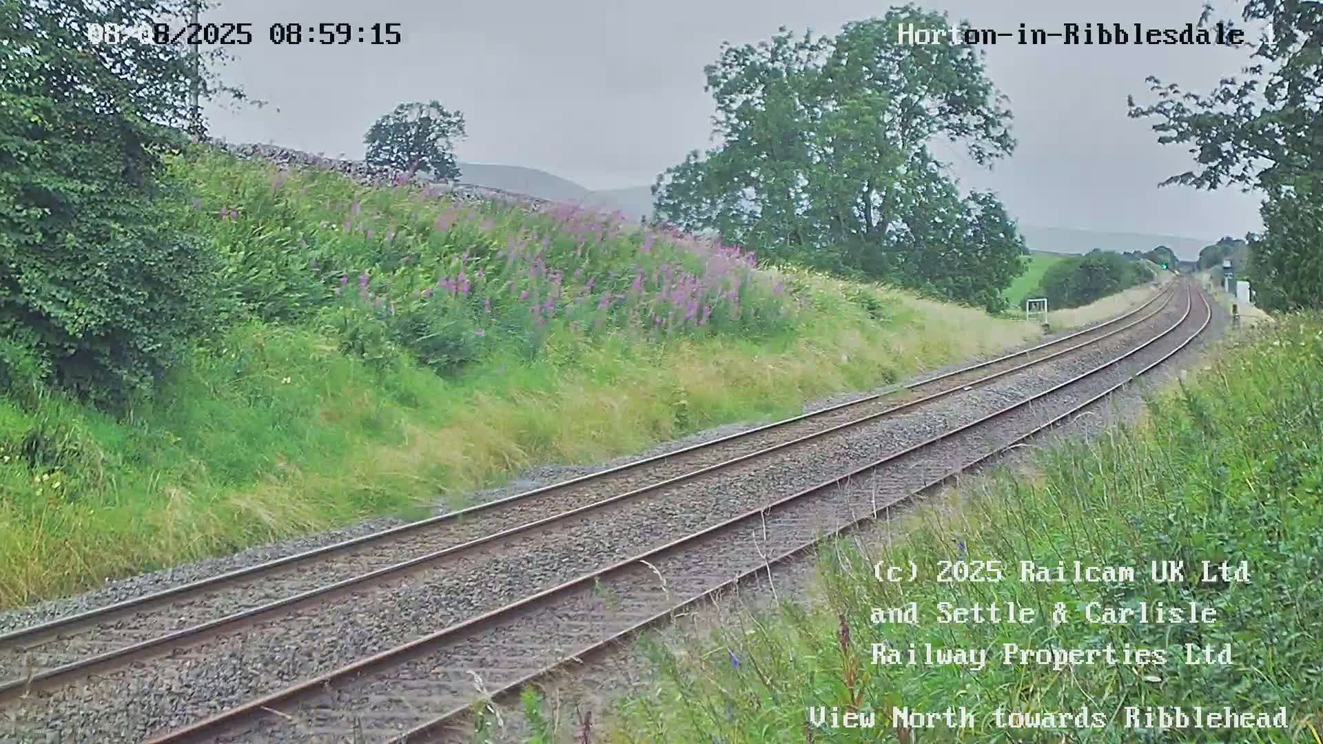 A view of a train track on an overcast day, bordered by green vegetation and wildflowers, with hills visible in the distance.