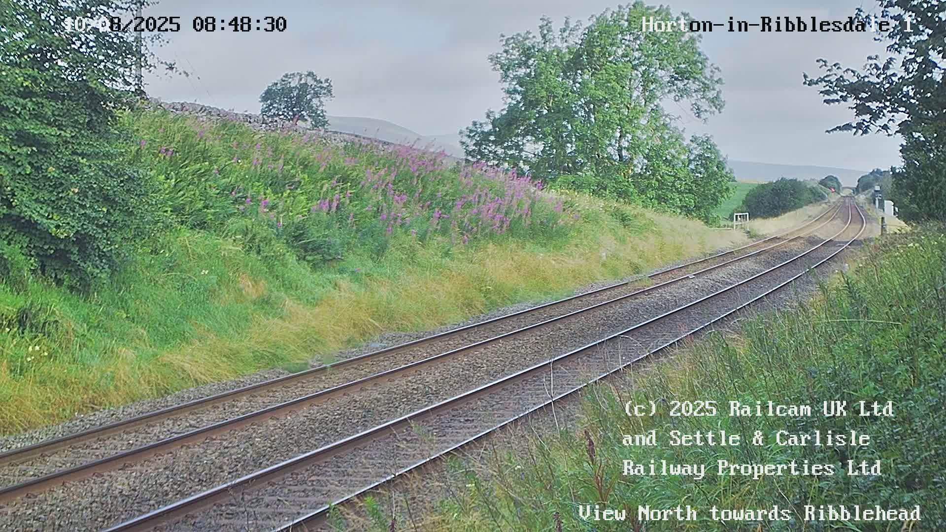 Two railway tracks extend into the distance on an overcast day, bordered by green vegetation and wildflowers.