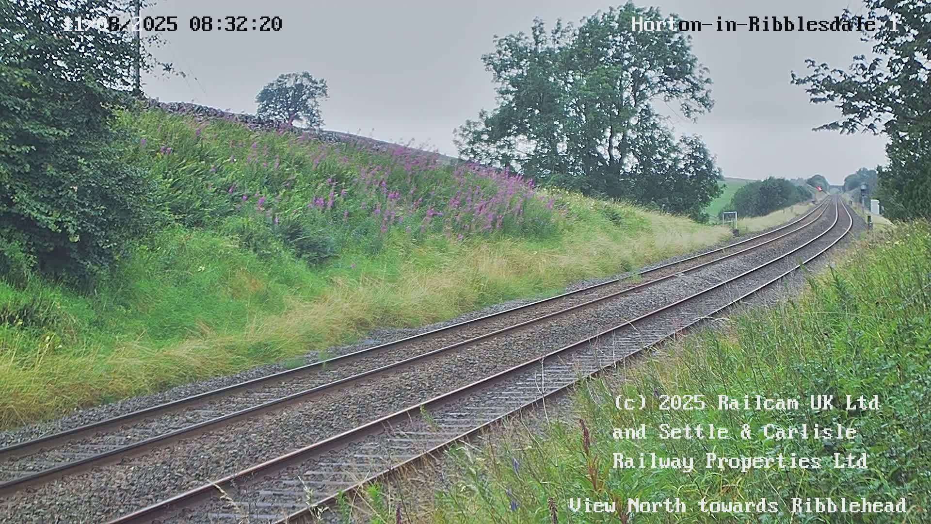 A view of a railway track on an overcast day, bordered by grassy embankments with wildflowers and trees.