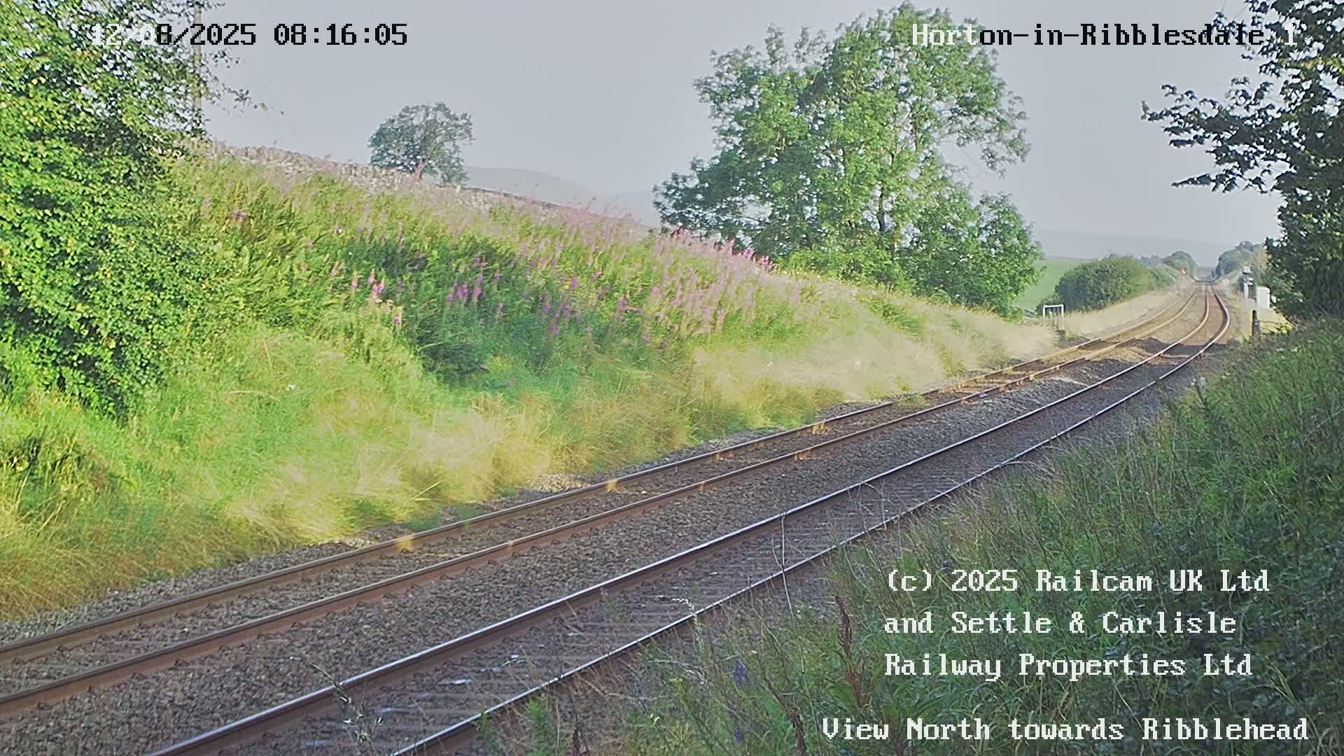 A view of a railway track running through a grassy landscape with wildflowers and trees under a hazy sky.