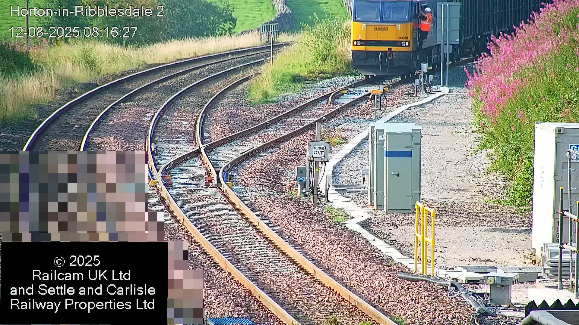 A yellow train approaches a railway junction on a sunny day, with pink flowers blooming alongside the tracks.