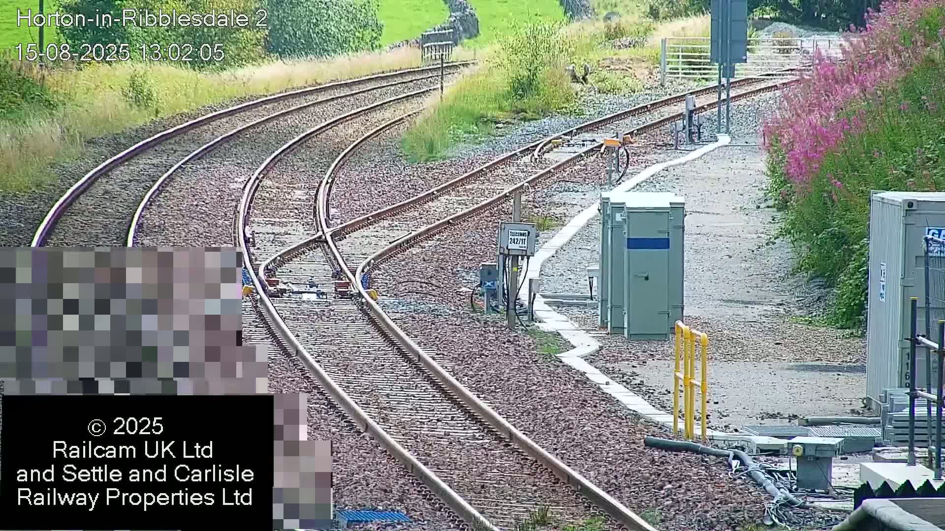 A yellow train approaches a railway junction on a sunny day, with pink flowers blooming alongside the tracks.