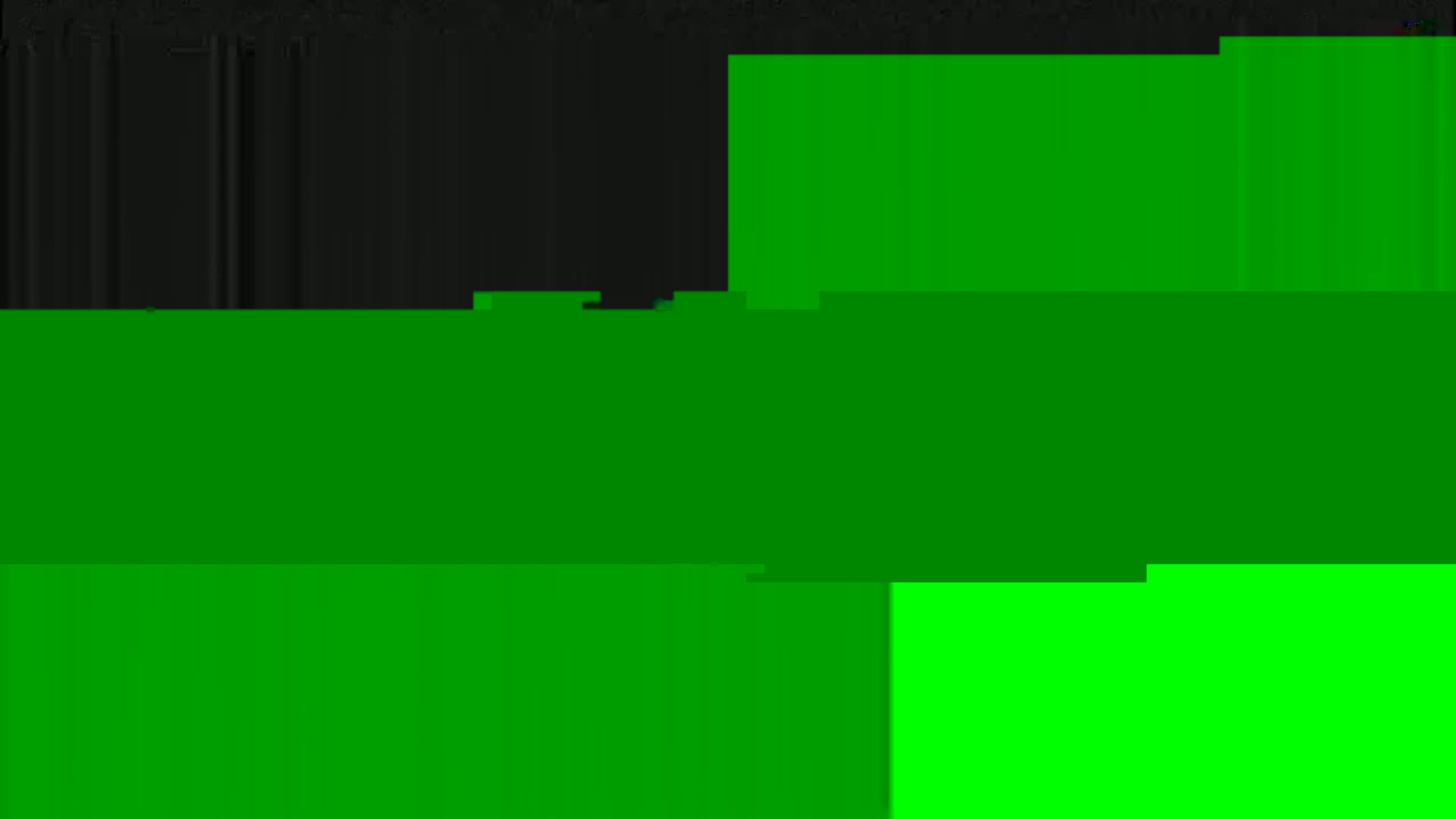 The image shows a screen displaying mostly shades of green with some black areas, possibly indicating a corrupted or glitching screen.