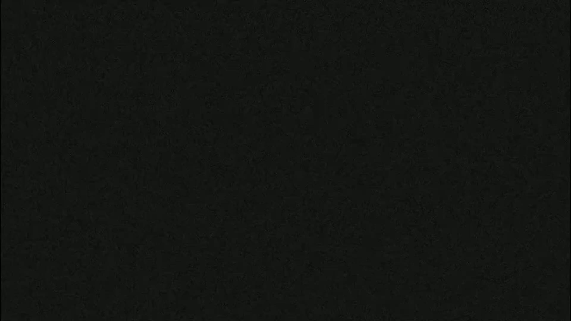 The image is a solid black background with a slightly textured surface.