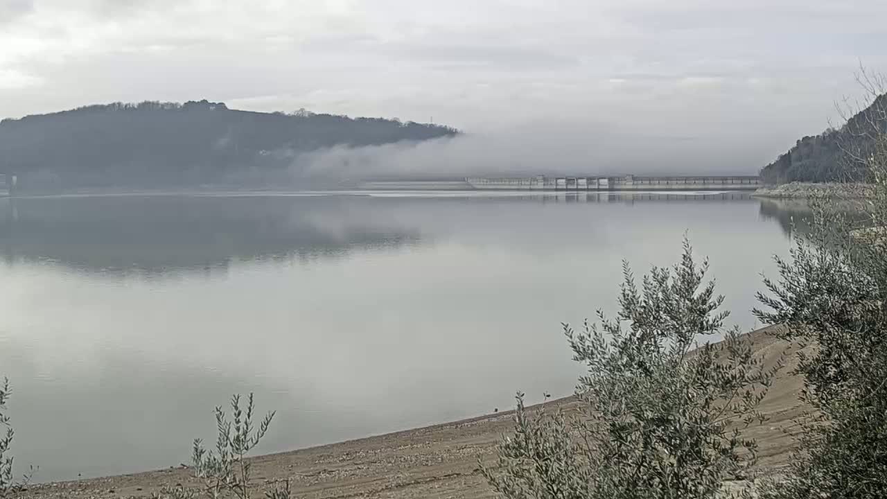 A calm lake is shrouded in fog, with a low-lying dam visible in the middle distance and bare trees on the shoreline.
