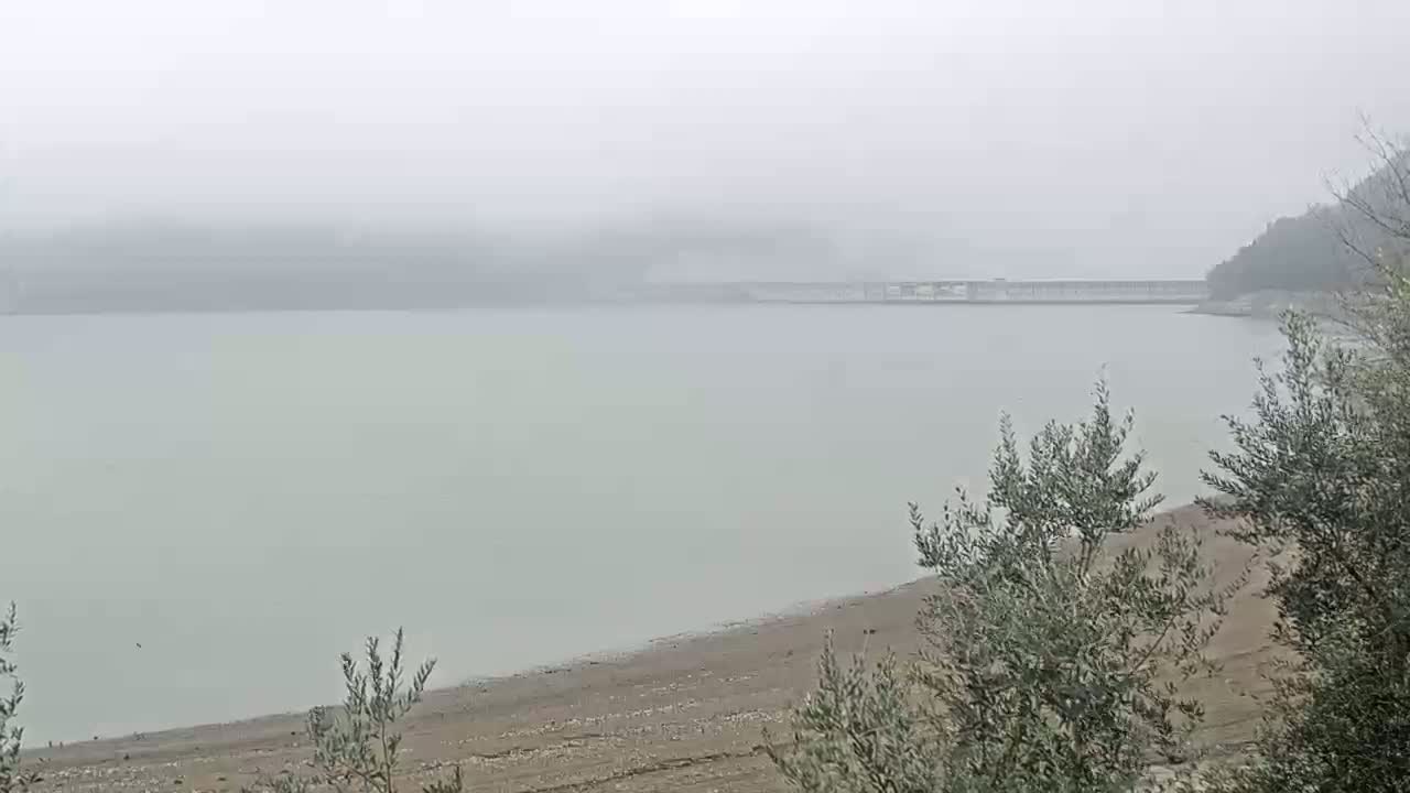 A foggy view of a calm body of water with a dam in the distance and shrubs in the foreground.