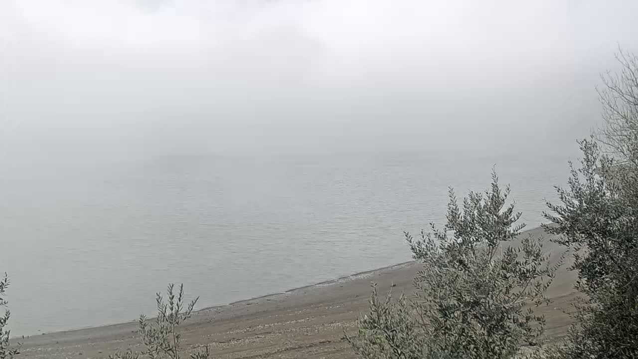 A foggy expanse of water meets a sandy shore lined with shrubs.