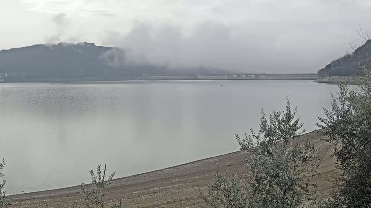 A calm lake with a dam and fog-covered hills in the background, viewed from a shoreline with low-lying vegetation.
