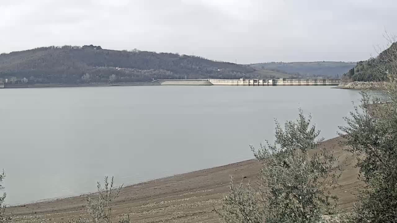 A calm, gray-water reservoir with a low water level exposing a wide, dry shoreline, a dam in the distance, and bare trees lining the foreground under an overcast sky.