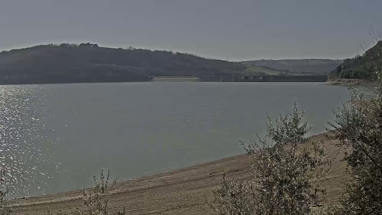 A calm, gray lake stretches out under a clear, sunny sky, with a dam visible in the distance and a sandy shoreline in the foreground partially obscured by low shrubs.