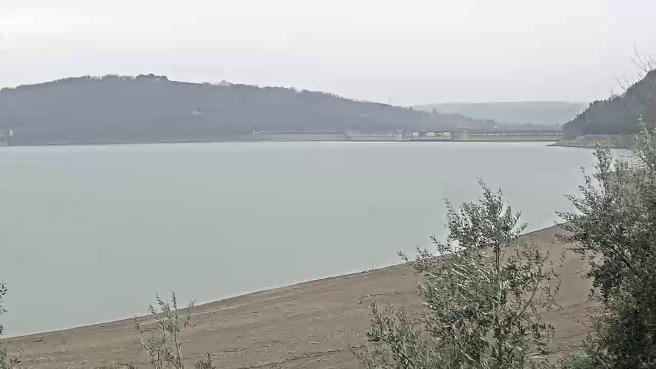 A calm, light-grey lake is nestled between hills under an overcast sky, with a sandy shoreline in the foreground partially obscured by shrubs.