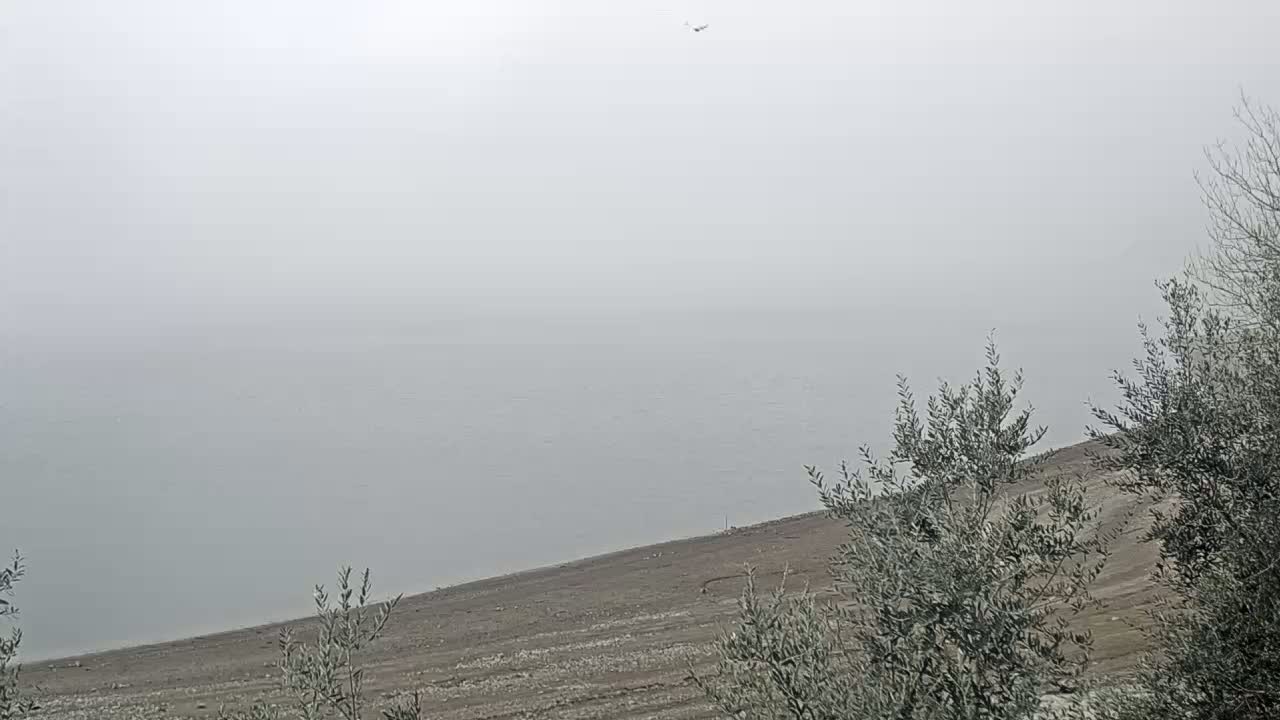A foggy view shows a calm body of water meeting a sloping, barren shoreline dotted with small, leafless shrubs.