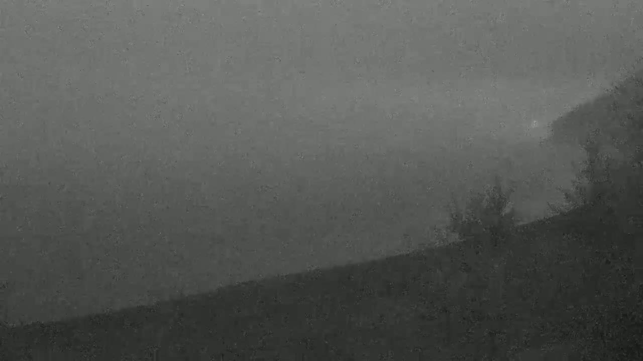 A dark, foggy landscape shows a hillside with sparse, indistinct vegetation under a heavy, overcast sky.