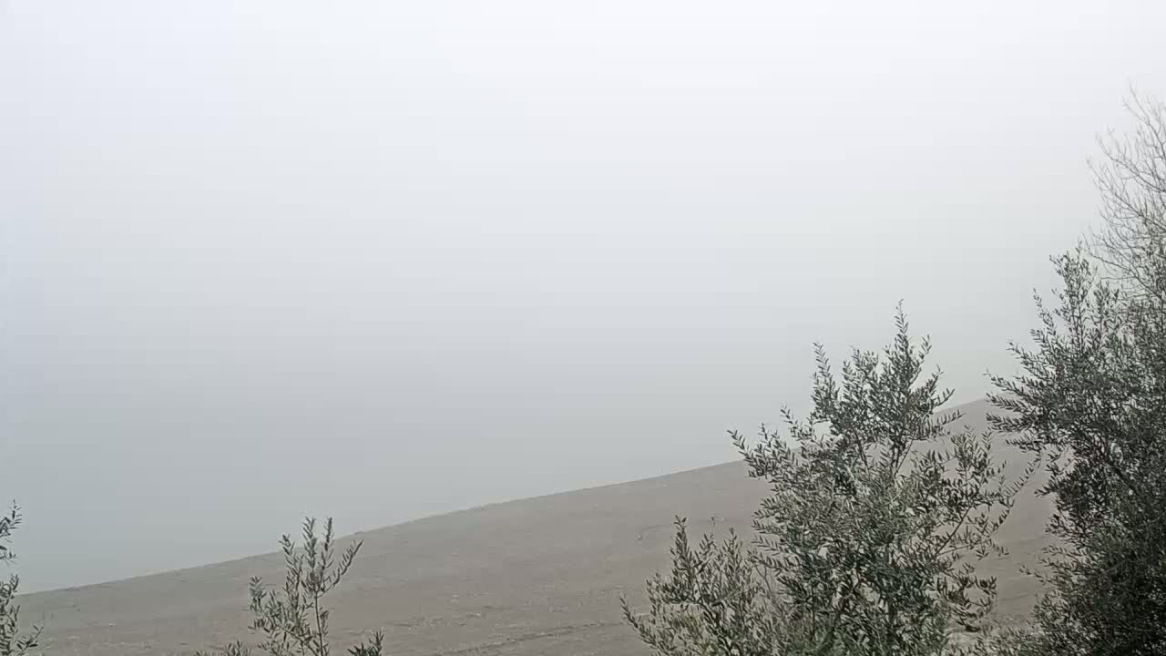A foggy landscape shows a gently sloping, barren field bordered by small, leafless trees.