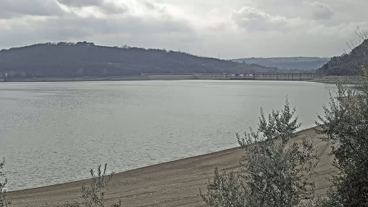 A calm body of water stretches to a distant tree-covered hillside under a cloudy sky.
