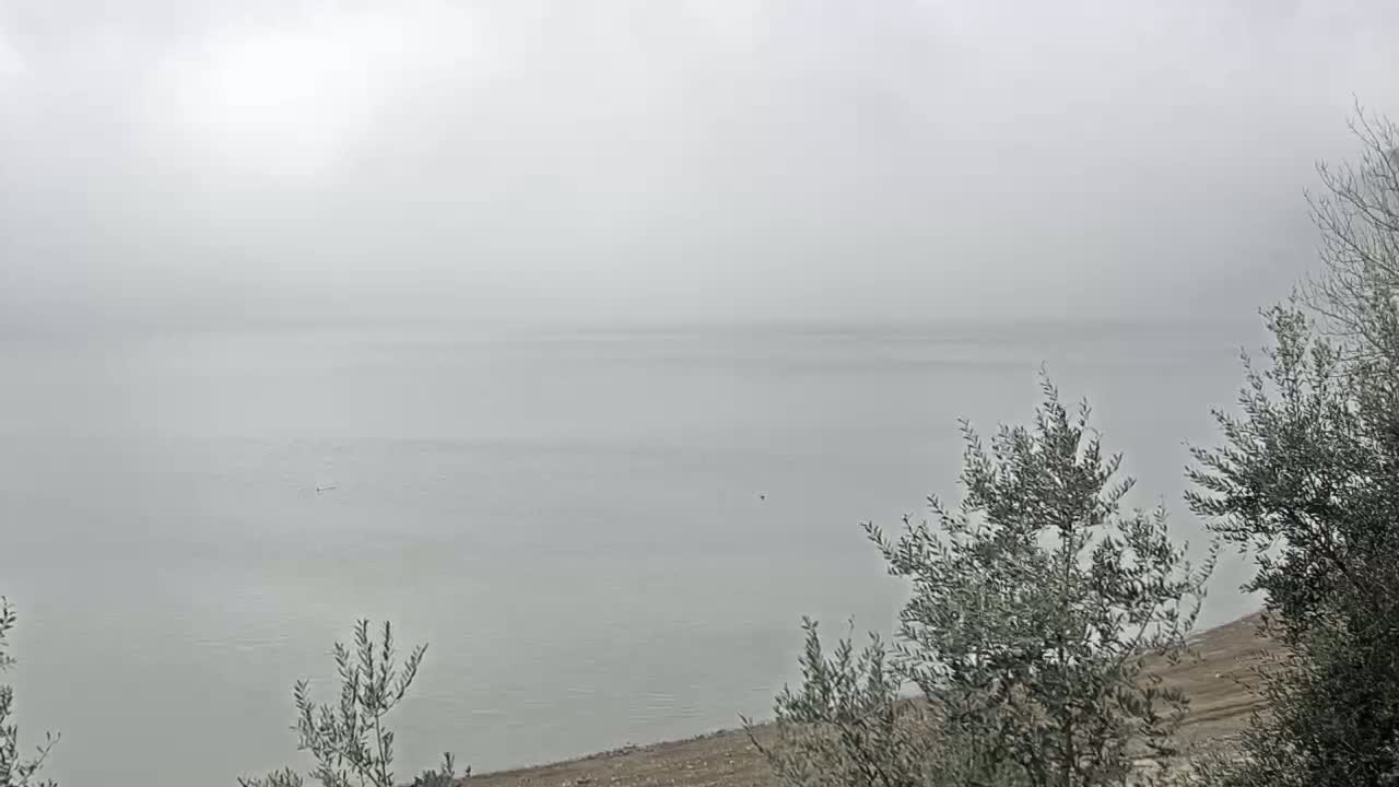 A calm body of water is shrouded in fog, partially obscured by bare, leafless trees in the foreground.