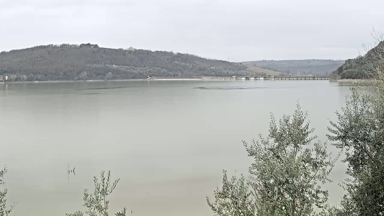 A calm, pale-green lake stretches out before a low, tree-covered hill under an overcast sky.