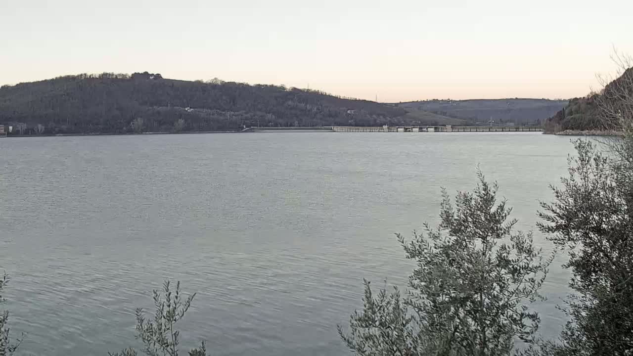 A calm, gray body of water stretches out before a low, tree-covered hill under a pale sky.