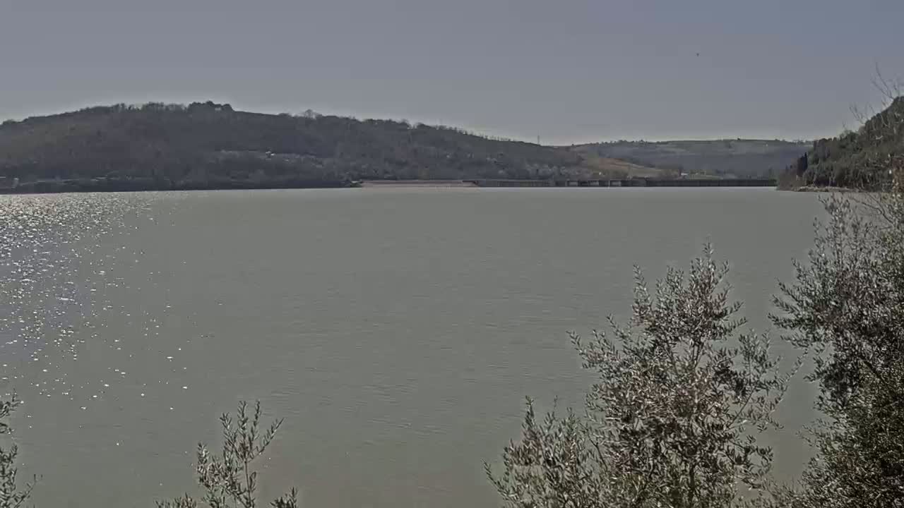 A calm, light-green lake stretches out under a clear sky, bordered by hills and partially obscured by low-lying vegetation in the foreground.