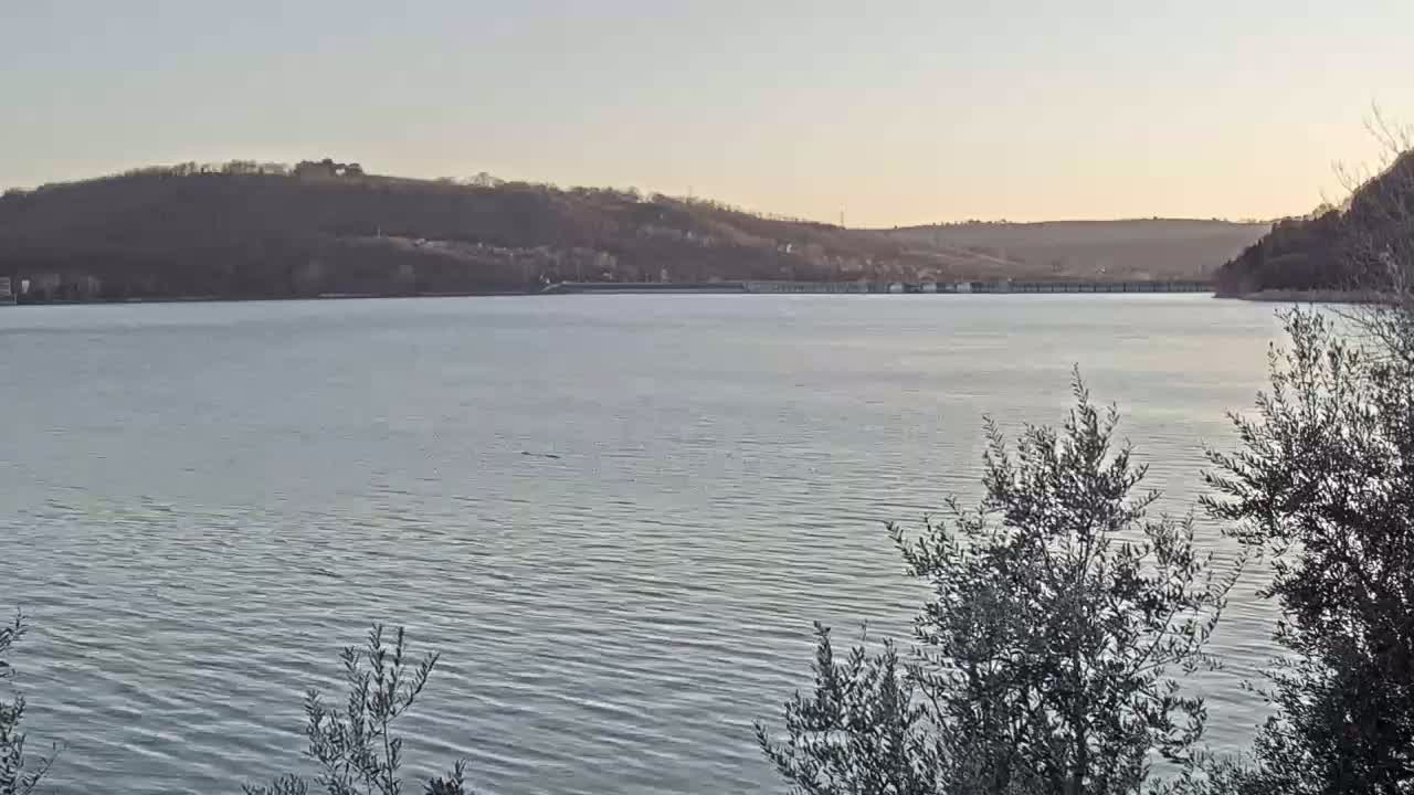 A calm lake stretches out under a pale sky, with hills in the background and bare, brushy trees in the foreground.