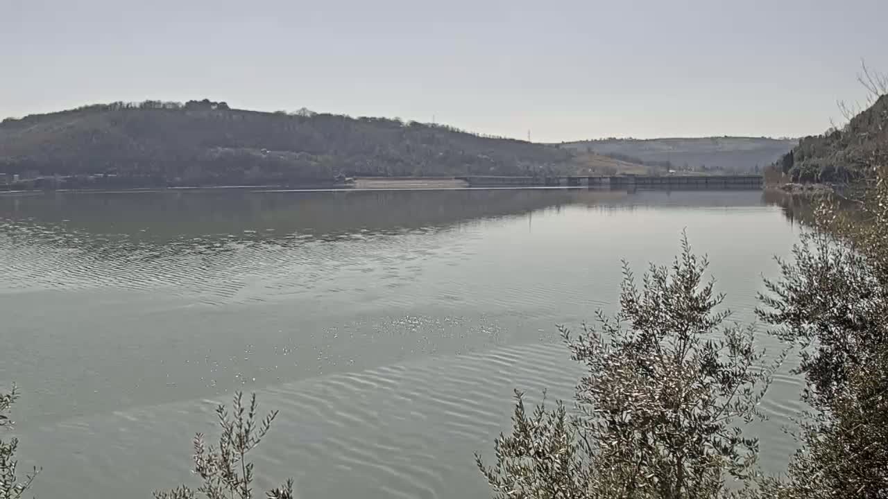 A calm, gray-green lake stretches to a distant, tree-covered hill under a clear, light sky.