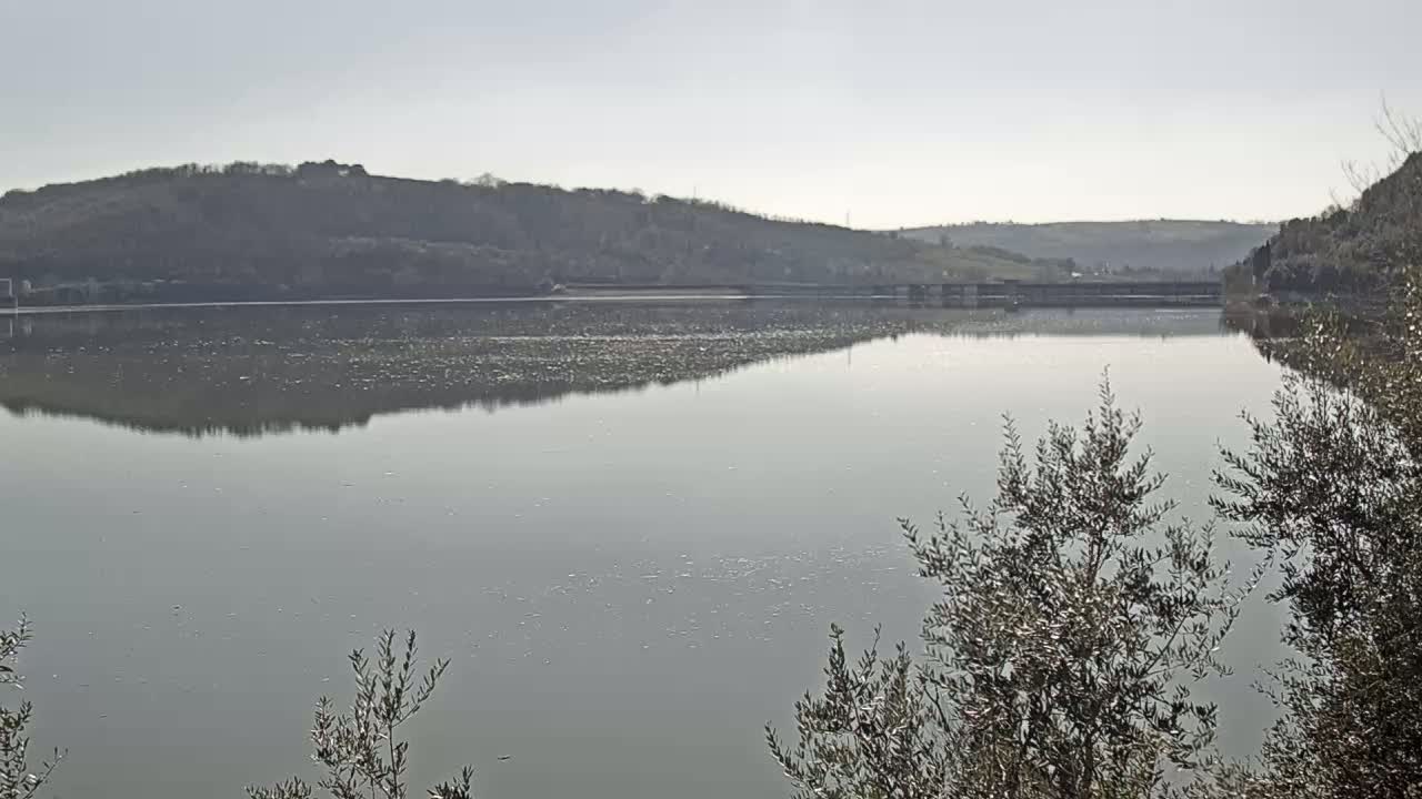 A calm lake reflects a treeline and dam under a clear, light gray sky.