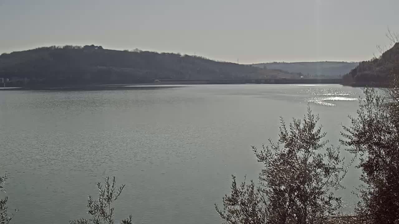 A calm lake reflecting sunlight, surrounded by hills and observed from behind sparse, dark-colored shrubs under a bright, clear sky.