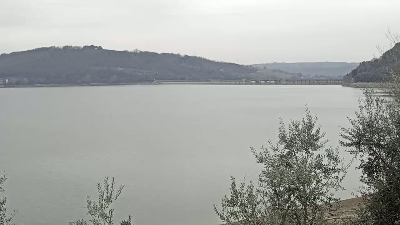 A calm, gray body of water stretches out before a low, tree-covered hill under an overcast sky.