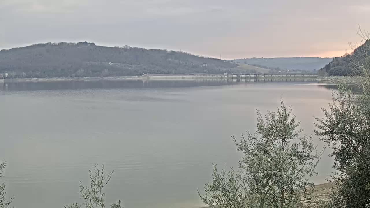 A calm lake under a pale sky reflects a long bridge and distant hills, partially obscured by foreground vegetation.