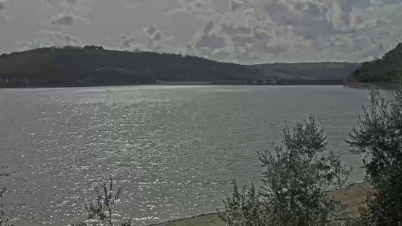 A large body of water, slightly rippled, stretches out under a cloudy sky, with a distant hillside and some vegetation in the foreground.