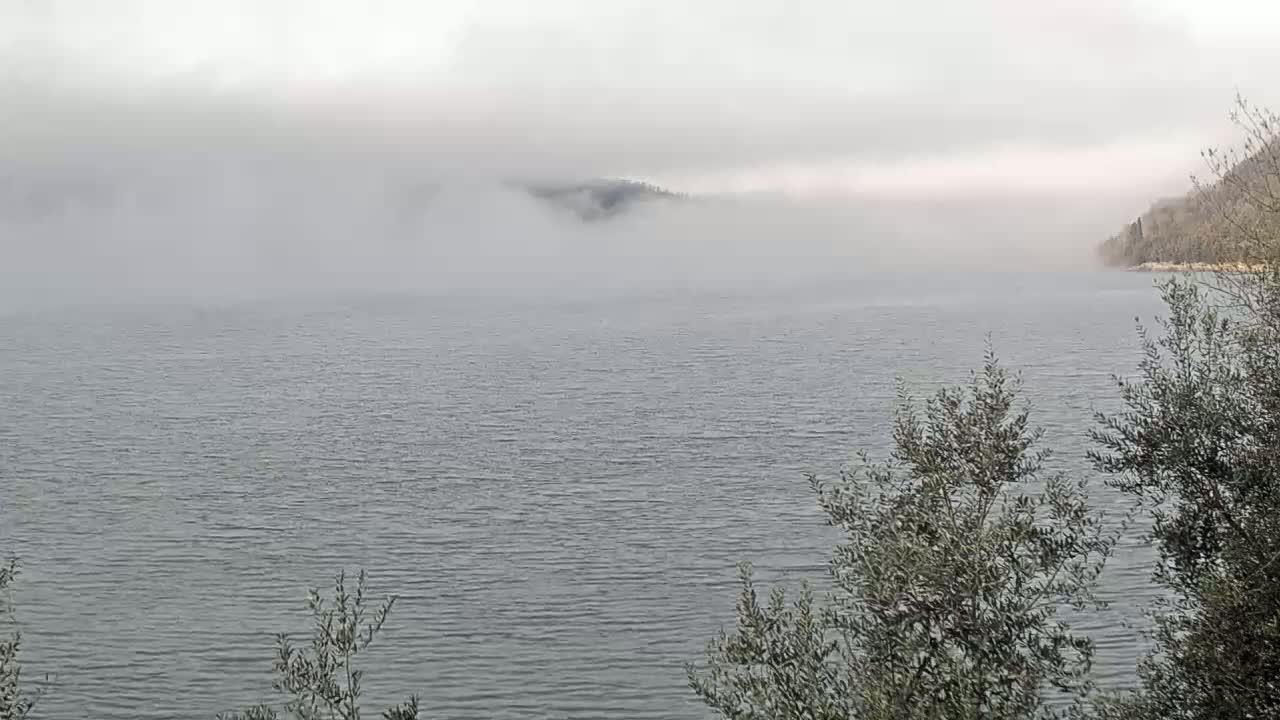 A calm body of water is shrouded in fog, with a misty hillside visible in the distance and bare bushes in the foreground.