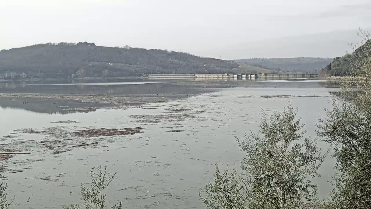 A calm, overcast day reveals a reservoir with scattered debris on its surface, a dam visible in the distance, and bare, winter trees in the foreground.